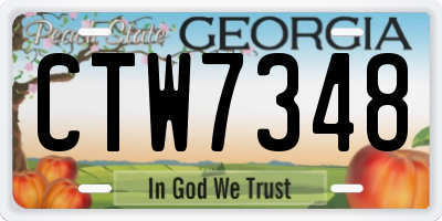 GA license plate CTW7348