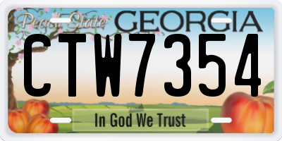 GA license plate CTW7354