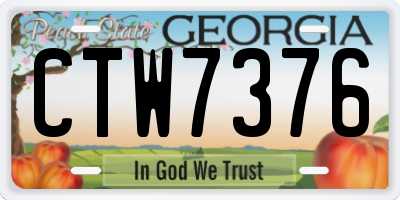 GA license plate CTW7376