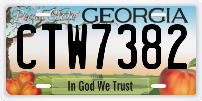 GA license plate CTW7382