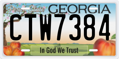 GA license plate CTW7384