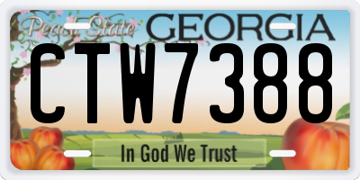 GA license plate CTW7388