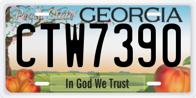 GA license plate CTW7390