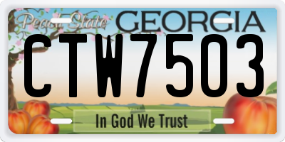 GA license plate CTW7503