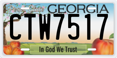 GA license plate CTW7517