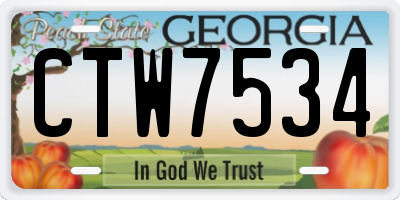 GA license plate CTW7534