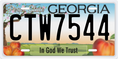 GA license plate CTW7544