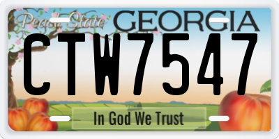 GA license plate CTW7547
