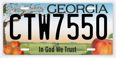 GA license plate CTW7550