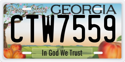 GA license plate CTW7559