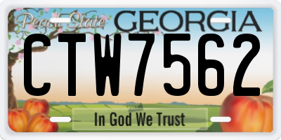 GA license plate CTW7562