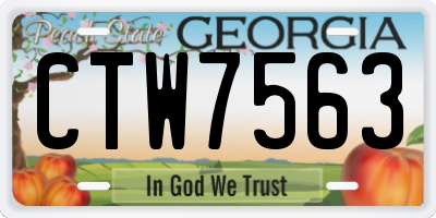 GA license plate CTW7563