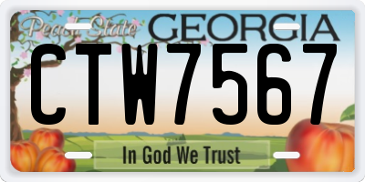 GA license plate CTW7567