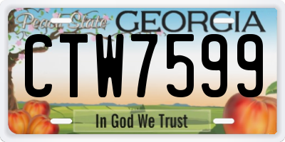 GA license plate CTW7599