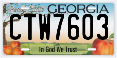 GA license plate CTW7603