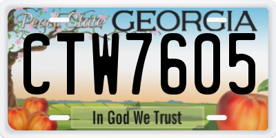 GA license plate CTW7605