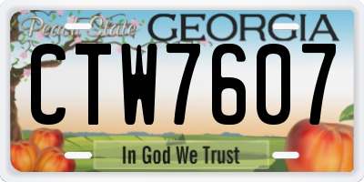 GA license plate CTW7607
