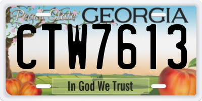 GA license plate CTW7613