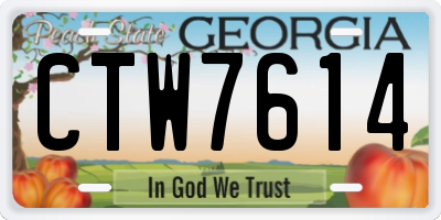 GA license plate CTW7614