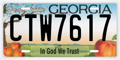 GA license plate CTW7617