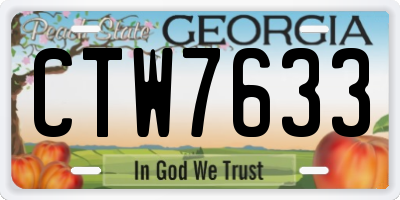 GA license plate CTW7633