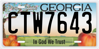 GA license plate CTW7643