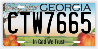 GA license plate CTW7665