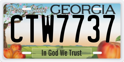 GA license plate CTW7737
