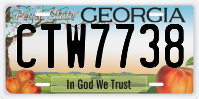 GA license plate CTW7738