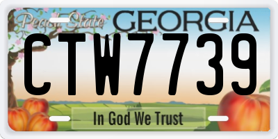 GA license plate CTW7739