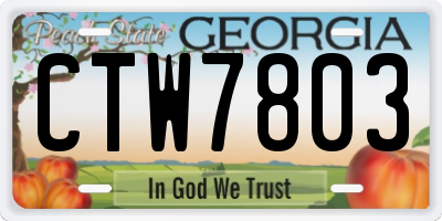 GA license plate CTW7803