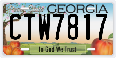 GA license plate CTW7817