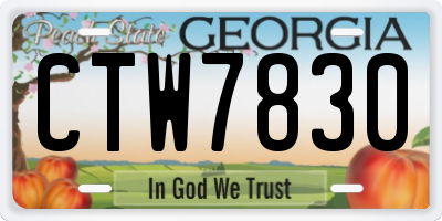 GA license plate CTW7830