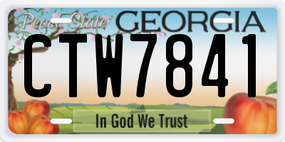 GA license plate CTW7841