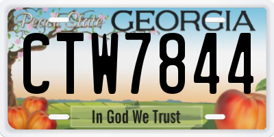 GA license plate CTW7844
