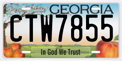 GA license plate CTW7855