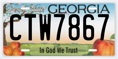 GA license plate CTW7867