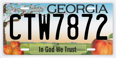 GA license plate CTW7872