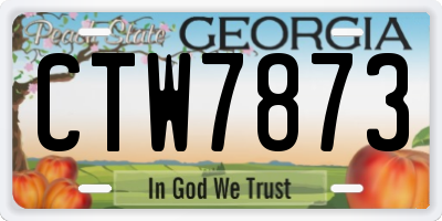 GA license plate CTW7873