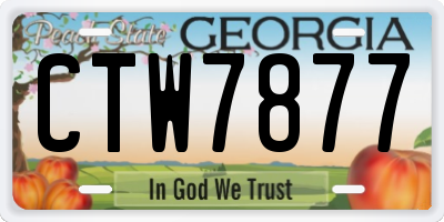 GA license plate CTW7877