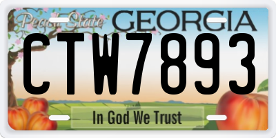 GA license plate CTW7893