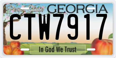 GA license plate CTW7917