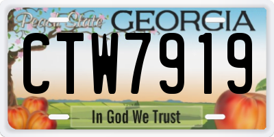GA license plate CTW7919