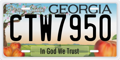 GA license plate CTW7950