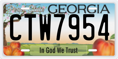 GA license plate CTW7954