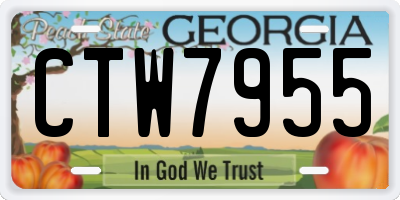 GA license plate CTW7955