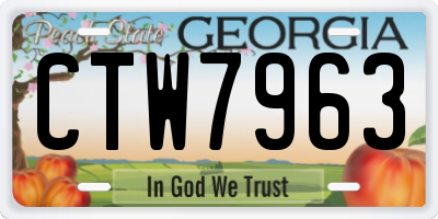 GA license plate CTW7963