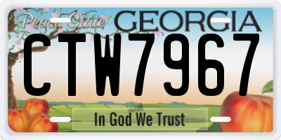 GA license plate CTW7967