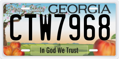 GA license plate CTW7968