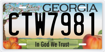 GA license plate CTW7981